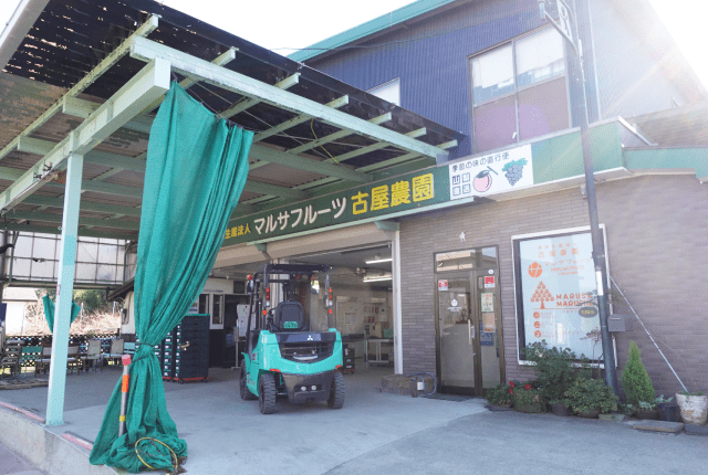 マルサフルーツ古屋農園 様